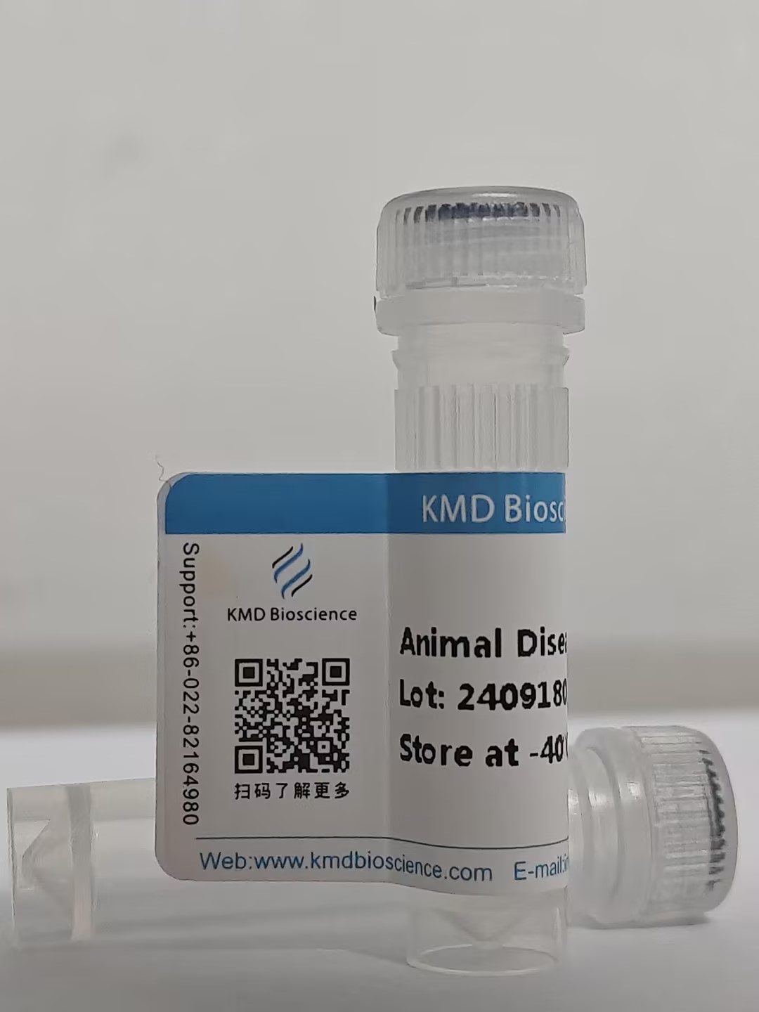 Procalcitonin (PCT) Antigen